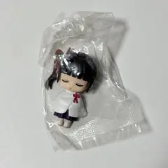 鬼滅の刃 ねむらせ隊 カナヲ