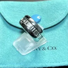 2026年最新】tiffany リング 22号の人気アイテム - メルカリ