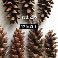 ももちゃん様 リクエスト 2点 まとめ商品