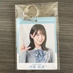 2026年最新】メンバー名：平尾帆夏 坂道シリーズ キーホルダーの人気