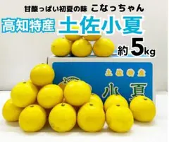 ☆タイムセール☆高知特産 土佐小夏 サイズおまかせ 約5kg 日向夏のサムネイル