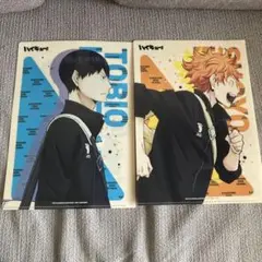 ハイキュー　クリアファイル　日向翔陽　影山飛雄