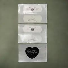 StrayKids スキズ SKZOO ジニレット ヒョンジン CharmAid