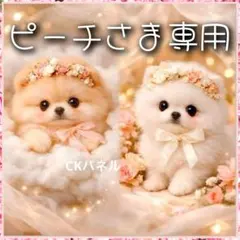 【受注制作】両面巾着袋(裏地あり)