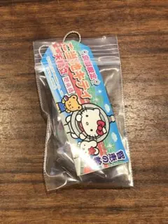2025年最新】天橋立 キティの人気アイテム - メルカリ