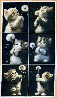 パネル生地 幻想綿毛 猫 ネコ ねこ ①