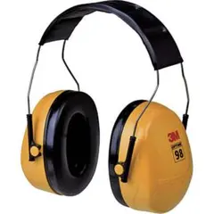 Item thumbnail for item 6ba19a60-e0ad-4701-9bf5-4fa655ecb061