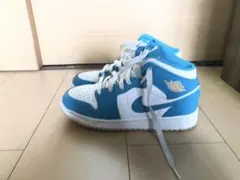 ナイキ エアジョーダン1 22.5cm