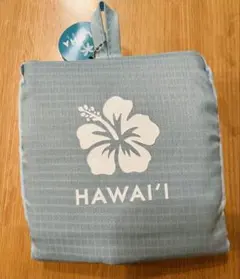 【本日限定111円値下げ】ABCストア ハワイ エコバッグ 水色