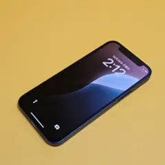 iPhone 12 mini 256GB｜24時間以内発送!#806