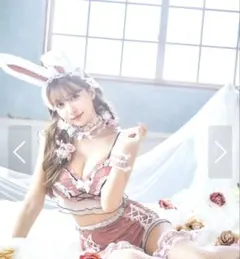 【sugar nine×マリームーンコラボ】 セクシーレースバニーコスプレセットのサムネイル