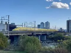 Item thumbnail for item d8e3a29a-1fe4-4b65-8a24-912156eedce3