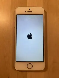 iPhone5s 32GB 起動OK 画面割れなし 初期化済