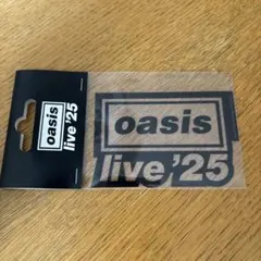 oasis ミュージシャン