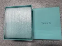 現行品Tiffanyティファニー　アクセサリーケース
