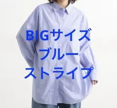 スタジオクリップ　【新品】　ストライプシャツ　BIGサイズ