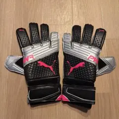 2025年最新】プーマ エヴォパワーの人気アイテム - メルカリ