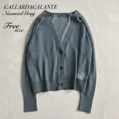 オンライン限定⭐︎ガリャルダガランテ シアーVネックカーディガン グレー系