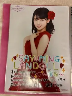 マック様 リクエスト 2点 まとめ商品