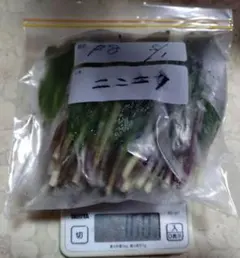 北海道産 天然 アイヌネギ 行者ニンニク 冷凍 合計約360g 道北地方のサムネイル