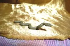 Item thumbnail for item 3625c648-efc7-4e6e-8651-4e952620566d