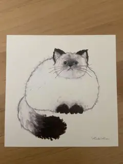 a good viewヒマラヤン猫アート　米津祐介さん