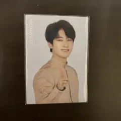 SEVENTEEN 2020 ドームトレカ　ウォヌ