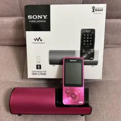 タ*e様 NW-A45(Mr.Walkman CFW導入済み) タ*e様 NW-A45(Mr.Walkman CFW導入済み) - メルカリ