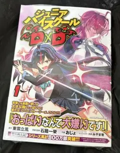 月刊少年ガンガン増刊少年ガンガンパワード2009年2月号特別付録CD 未