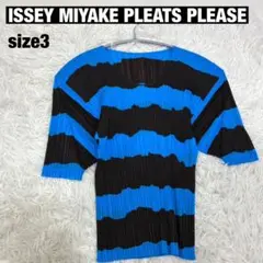 ISSEY MIYAKE PLEATS PLEASEボーダーsize3カットソーのサムネイル