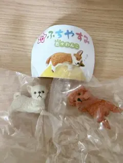 ふちやすみ 色々わんこ カプセルトイ 2種セット
