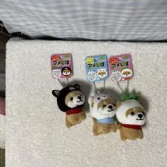 旅するマメしば　鹿児島限定