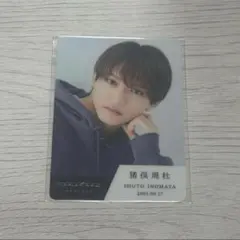 猪俣周杜　タイプロトレカ