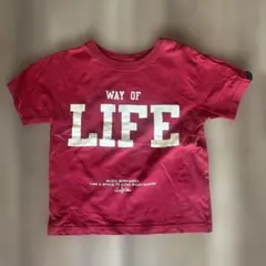 GROOVY COLORS WAY OF LIFE Tシャツ 110のサムネイル