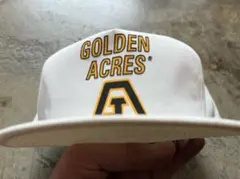 激レアプリントUSA製デッドストックヴィンテージ企業系トラッカーキャップ