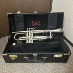 美品　Bach バック　180ML43SP ストラディバリウス　3月メンテ済み 2025年最新】Yahoo!オークション -bach トランペット