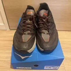 Item thumbnail for item 5bd4564b-900e-4843-9a10-bce413d5d317