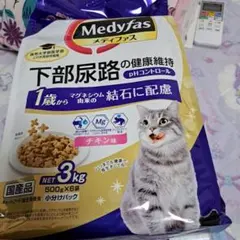 Item thumbnail for item aa86566c-a3aa-42fc-9efc-0871db496bb4