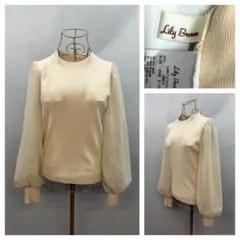Lily Brownシアースリーブ ニット カットソー