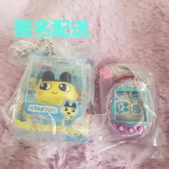 たまごっち　ブリスターパッケージ シャカシャカチャーム　まめっち　うらまめっち