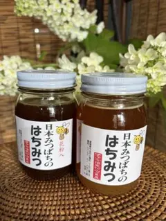 新蜜】 国産蜂蜜 アカシア 百花 1000g 各1本 信州産 セイヨウミツバチ 