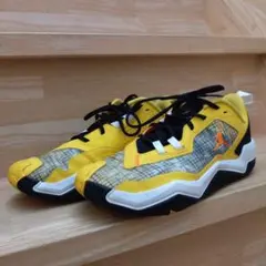 ジョーダン　ワンテイク4　ＰＦ　Jordan　27センチ