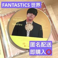 2026年最新】ペトロールズ レコード 乱反射の人気アイテム - メルカリ
