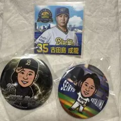 東京ヤクルトスワローズ ファン感謝DAY 2023 缶バッジ 33 内山壮真