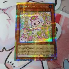 マルチャミーニャルス　プリシク