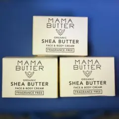 Item thumbnail for item 0a4d76da-2dd1-490f-a0bb-4e66b43814d6