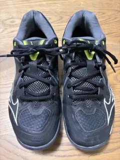 美品　使用3回Mizuno バドミントンシューズ ブラックウェーブクロー27.0 美品 使用3回Mizuno バドミントンシューズ ブラックウェーブクロー27.0