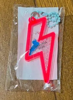琵琶湖キーホルダー フェストイナズマ2026 限定