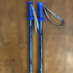 Item thumbnail for item e93e25c5-0e87-427e-b3a0-e3a4dd524f05