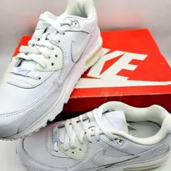NIKE エアマックスライト　〈621-2〉